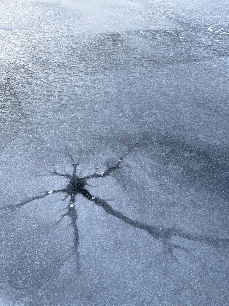 61.310838°N 23.49155°E  - 27/01/23  16:28