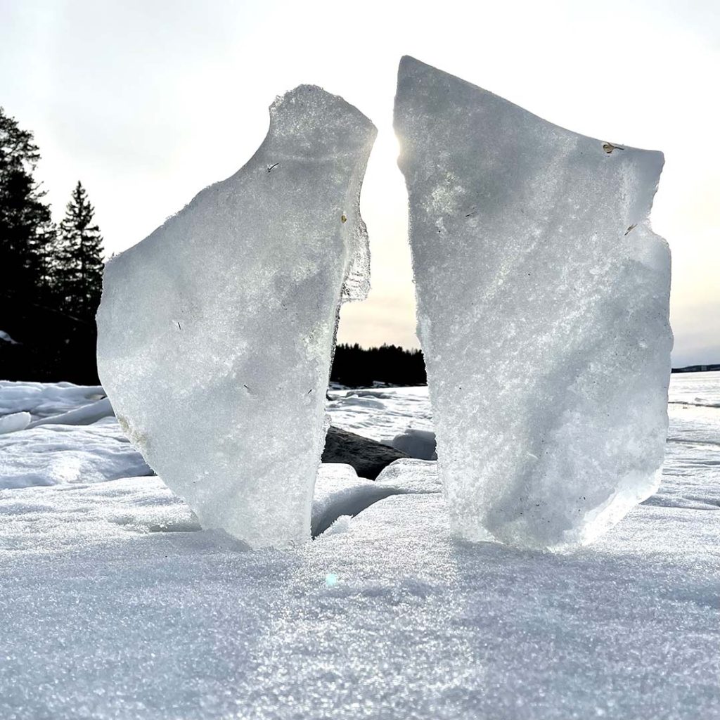 61.305788°N 23.482415°E - 11/04/21  18:07