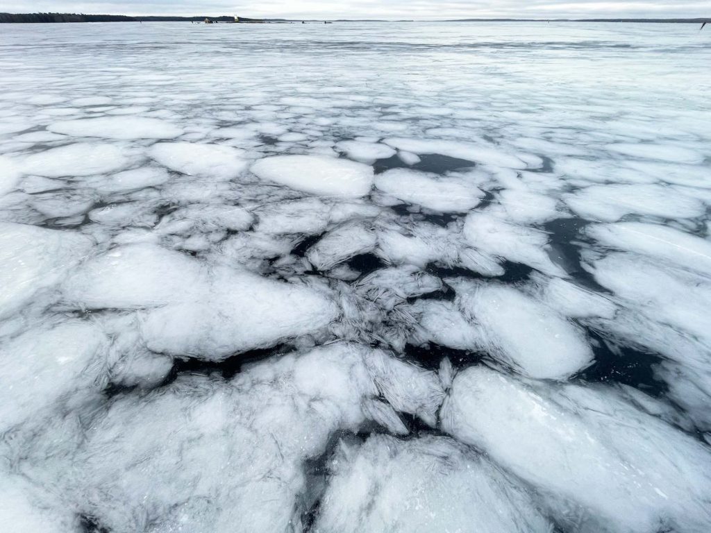 61.305289°N 23.452642°E  - 27/01/23  15:49